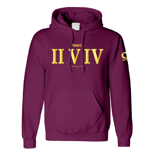 Hoodie - Fuchsia